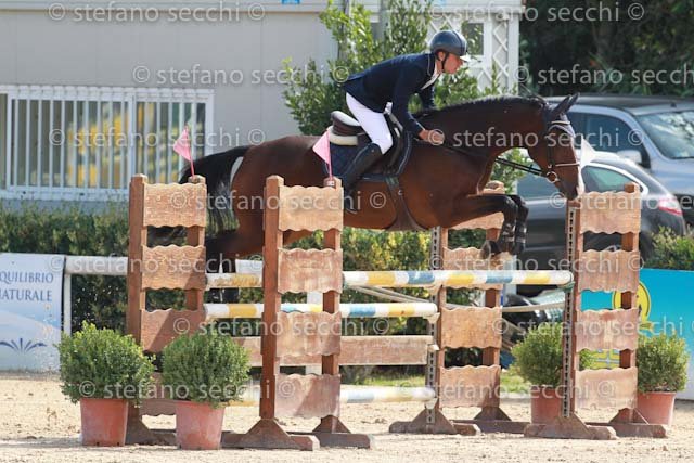 COLOMBO_NBANAT_GIO CAV 2011_SS3_8447.jpg